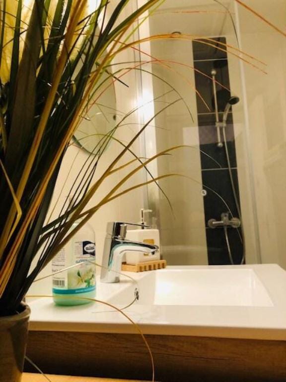 SweetHomeCompany-AppartCosy*5"Château*Centre Blois Apartment in Blois