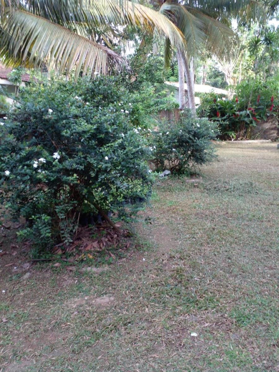 Green garden Vacation rental in Southern Province