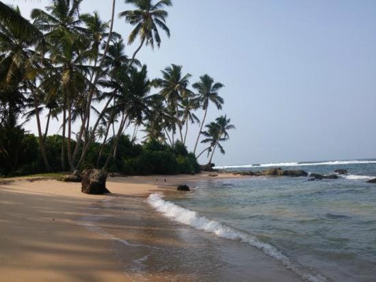 Villa 47 Akurala  Enjoy the Indian Ocean  Vacation rental in Southern Province