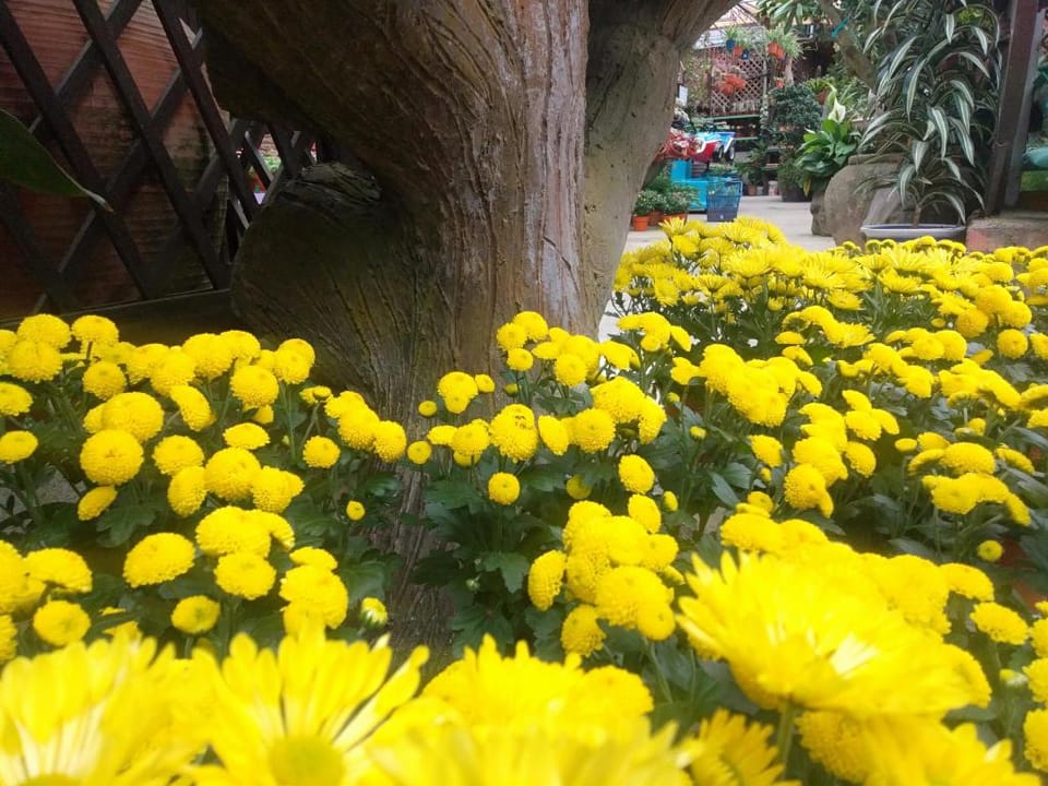Muslim Homestay ZH Rose @ Kea Farm Apartment in Brinchang