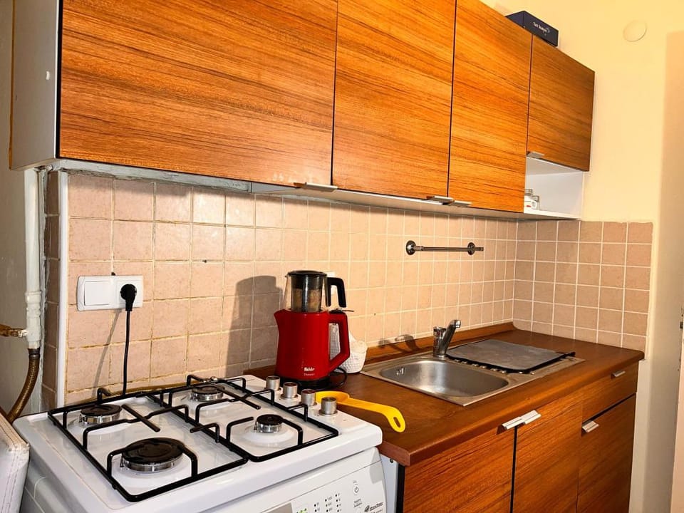 Istanbul's historical city in Beşiktaş Apartment in Istanbul