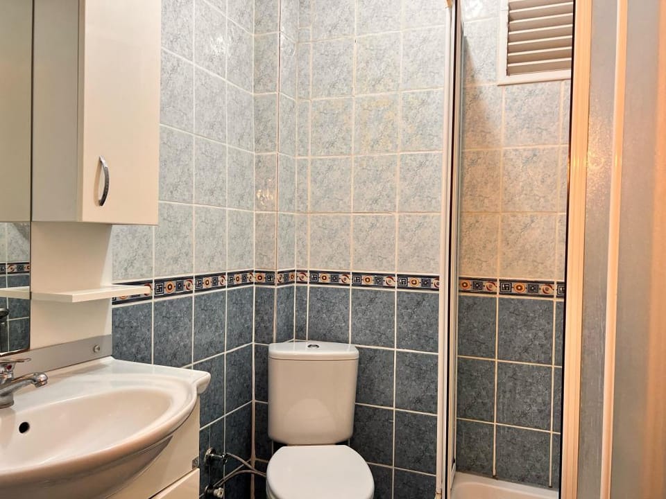 Istanbul's historical city in Beşiktaş Apartment in Istanbul