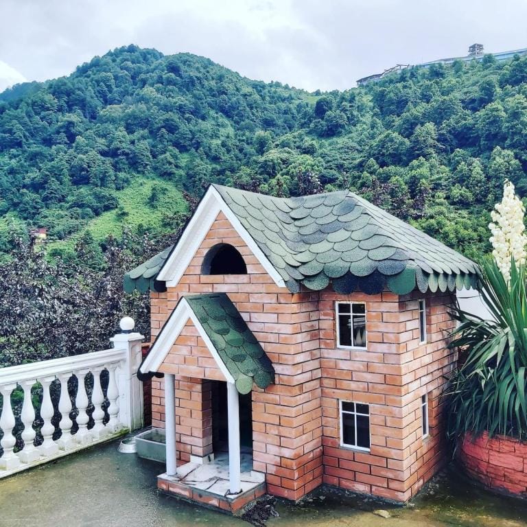 zurapalace(31) Villa in Batumi