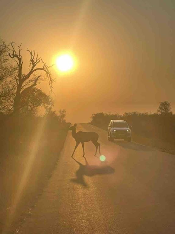 Aquarius Hot Springs Vacation rental in South Africa