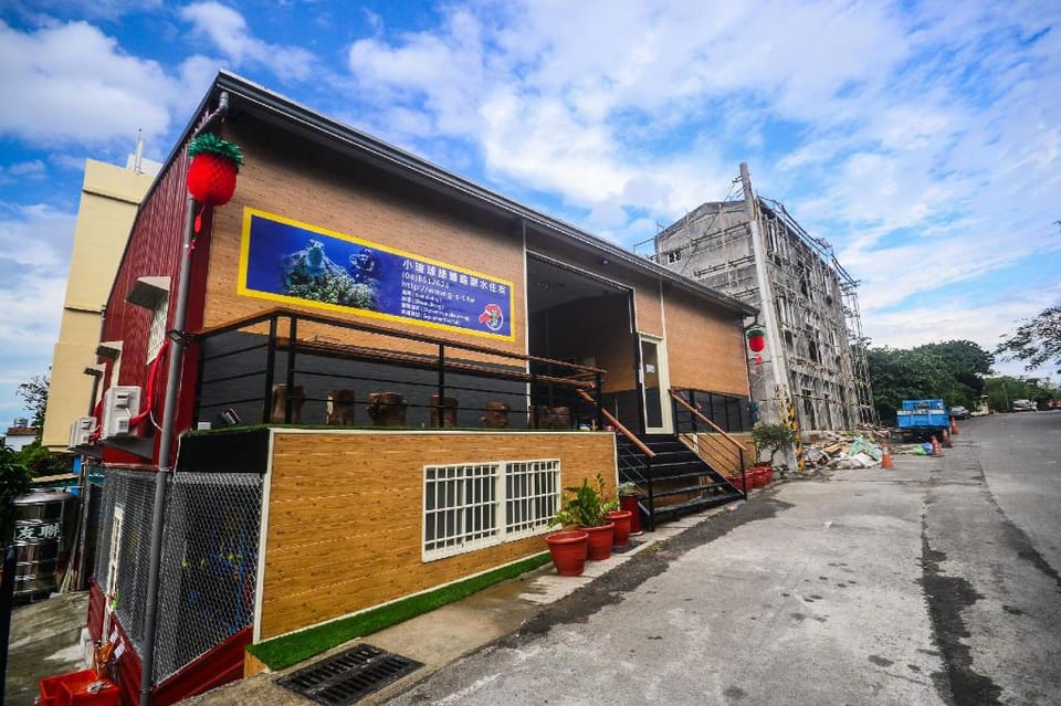 Green Sea Turtle Diving & Homestay Bed and Breakfast in Kaohsiung