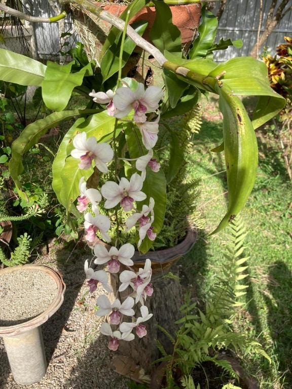 Nantawanhomestay Vacation rental in Thailand