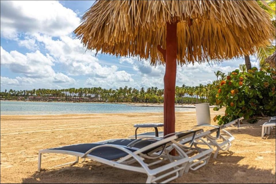 Beachfront penthouse with pool and private jacuzzi Apartment in La Romana