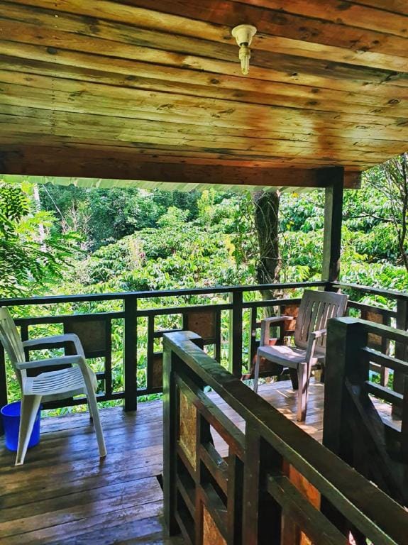 Turtle Pond Estate Hotel in Kerala
