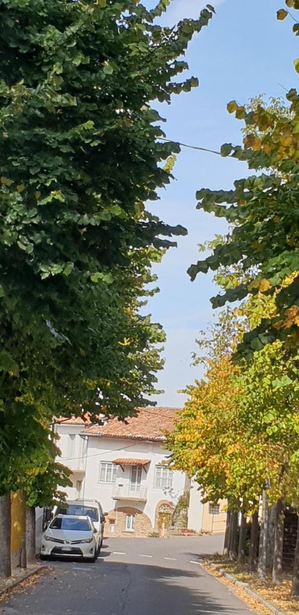 Casa Di Collina Nelle Langhe Typical country house no001 Vacation rental in Liguria