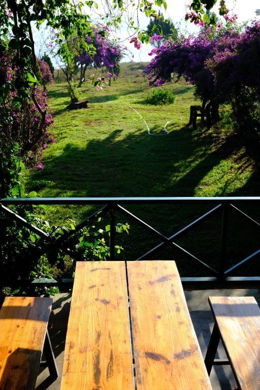 Ta Hine  Homestay Ho Dai Ninh _ Yellow house Vacation rental in Lâm Đồng
