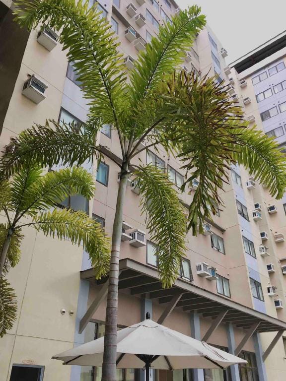 Condo • WIFI up to 100mbps • Infinity Pool Apartment in Lapu-Lapu City