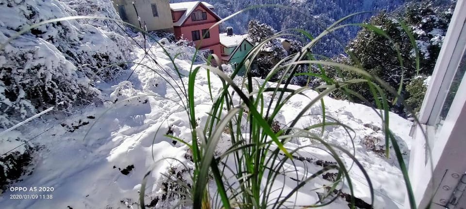 Paras homestay  Apartment in Shimla