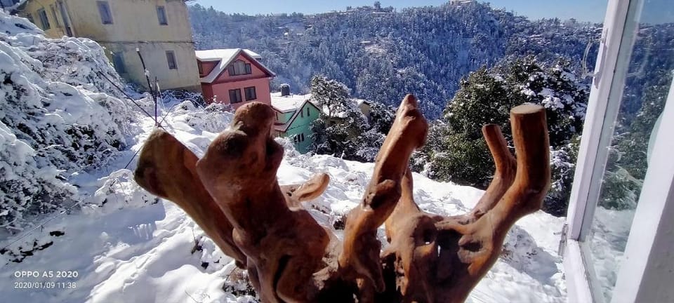 Paras homestay  Apartment in Shimla