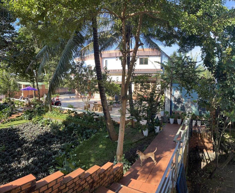 Village homestay family garden  Apartment in Vietnam
