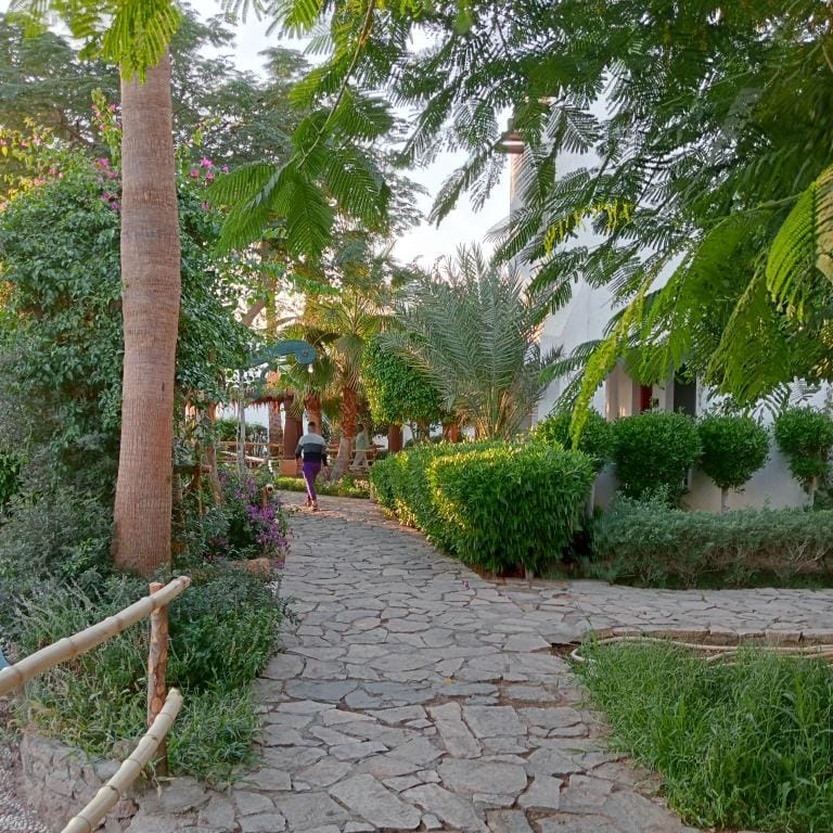 delta sharm resort,studio for rent, قرية دلتا شرم  Apartment in Sharm El-Sheikh