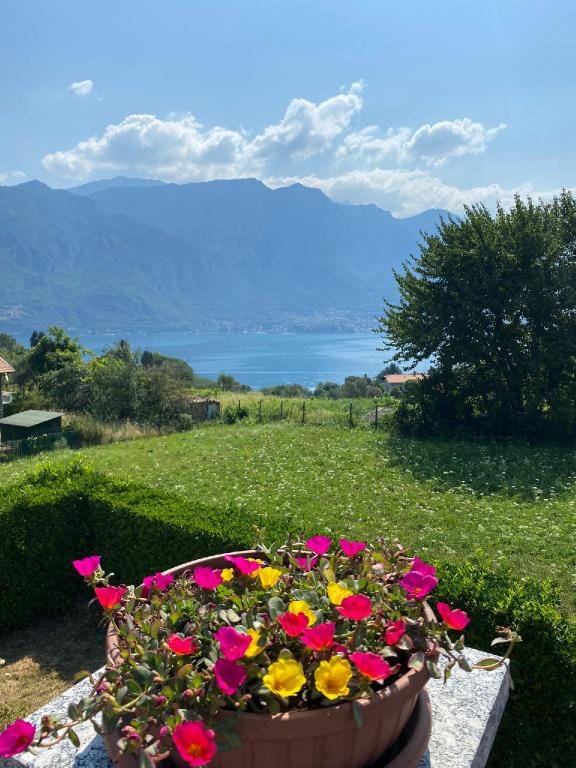LA TERRAZZA - APT WITH BIG TERRACE LAKE VIEW Apartment in Bellagio