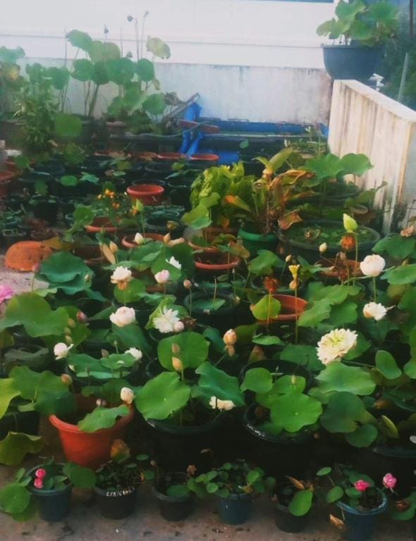 Raelyn's Homestay (Double Room) Vacation rental in Kochi