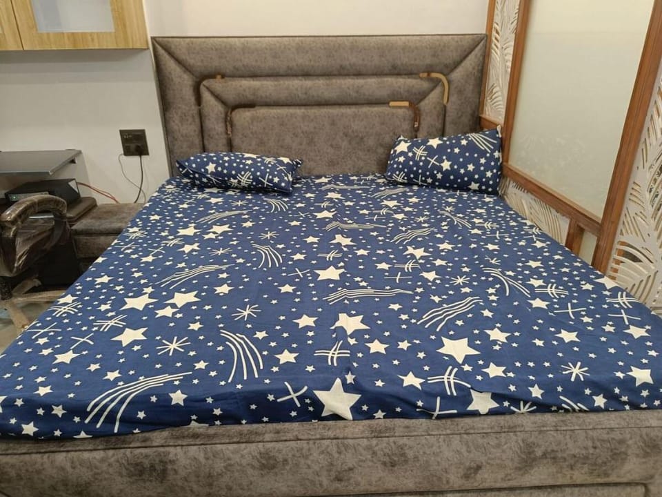 BnBBuddy Executive Studio Apt Moti Nagar West Delh Apartment in Delhi