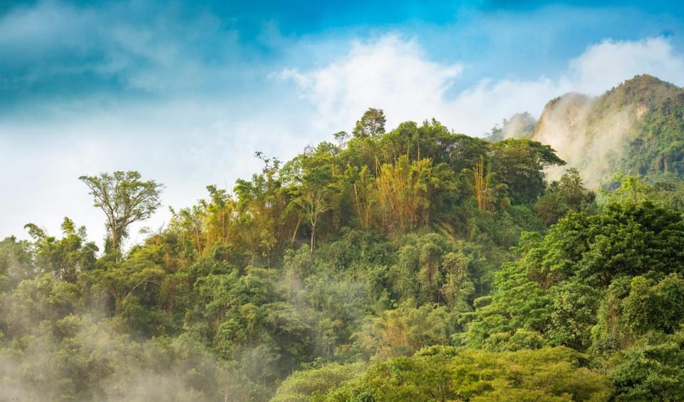 SelvaMinca Hotel in Magdalena, Colombia