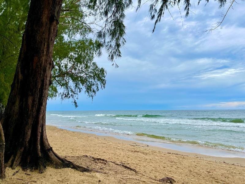 Phòng sang trọng , cách bãi biễn Bãi Dài 1 phút ! Apartment in Phu Quoc