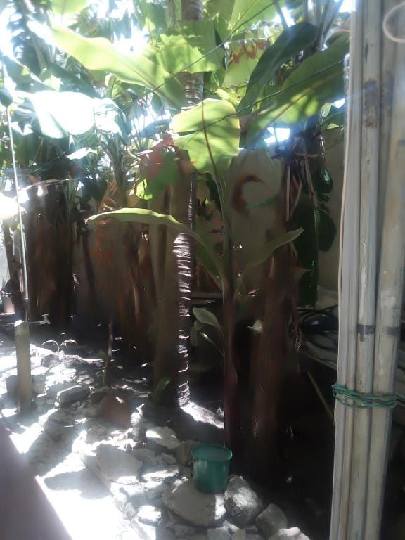Asiapacific Holidays 3BR/3BATH HOUSE mini -3DAYS Vacation rental in Dehiwala-Mount Lavinia