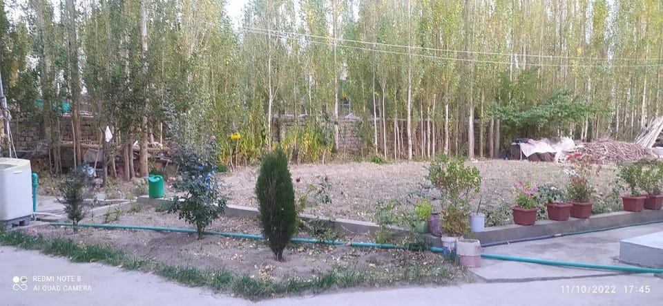 Nakpo Homestay  Vacation rental in India