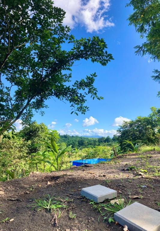 Camp Del Juana- a Family Farm in Morong Rizal Villa in Calabarzon
