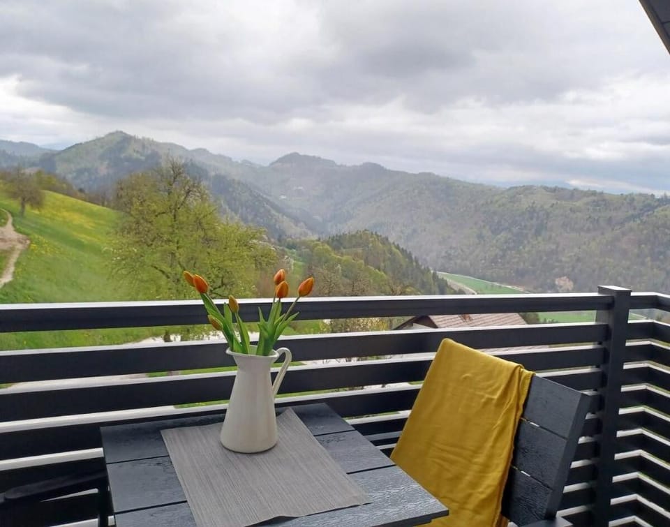 Apartma v mirni vasici Sv.Tomaž Apartment in Slovenia