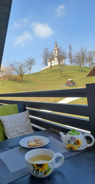 Apartma v mirni vasici Sv.Tomaž Apartment in Slovenia