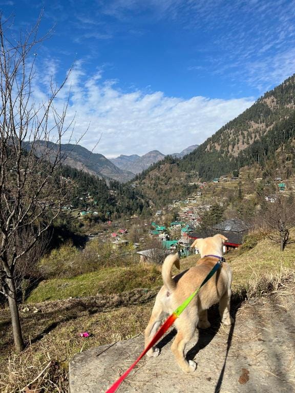 Let’s Take it Easy (LTE) Apartment in Himachal Pradesh