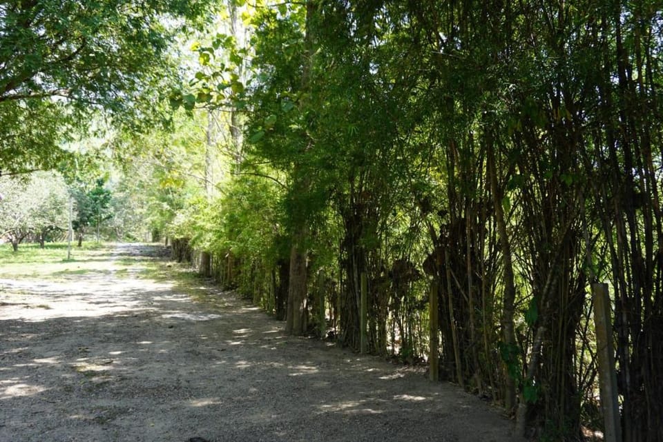 Rai Phu Tawan ไร่ภูตะวัน สวนผึ้ง Vacation rental in Thailand