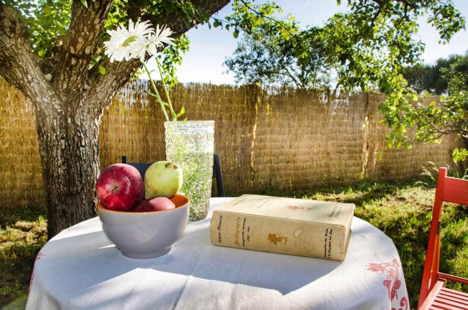 ERMIONI VILLA - Food & Wine Villa in Zakynthos, Greece