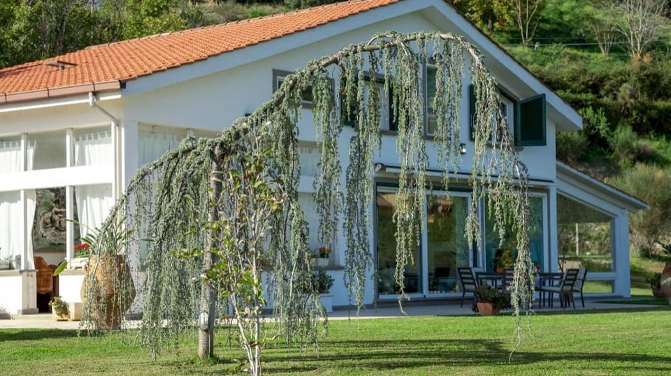 Villa Bubi 8+1 Apartment in Lazio
