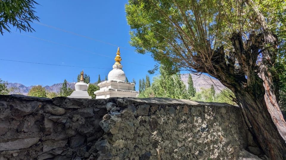 Chamba resort Resort in India