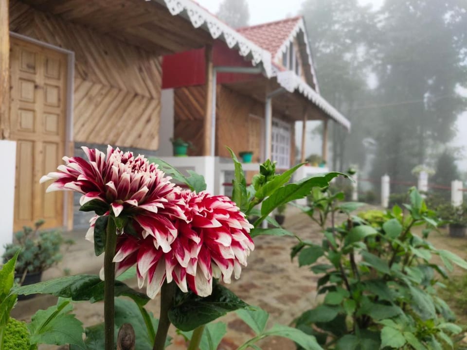 Boho Homestay, Rangbhang Vacation rental in West Bengal