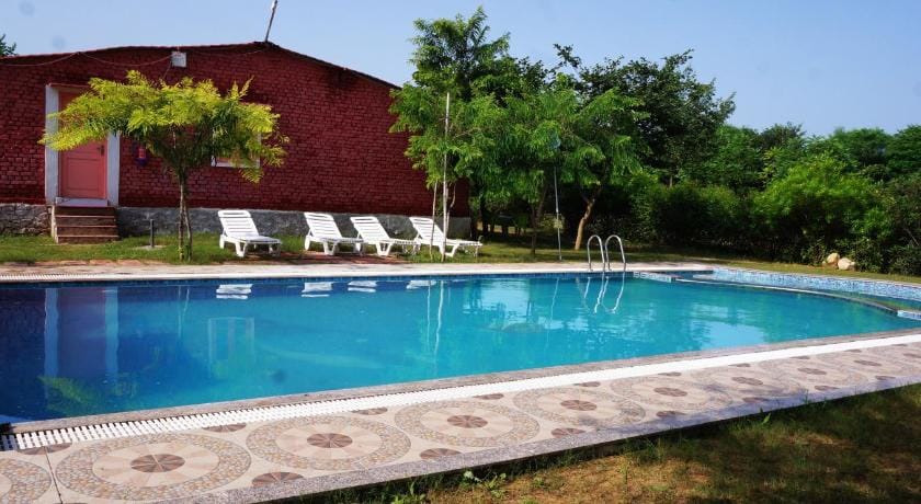 Wow relish in the Wild Bed and Breakfast in Rajasthan
