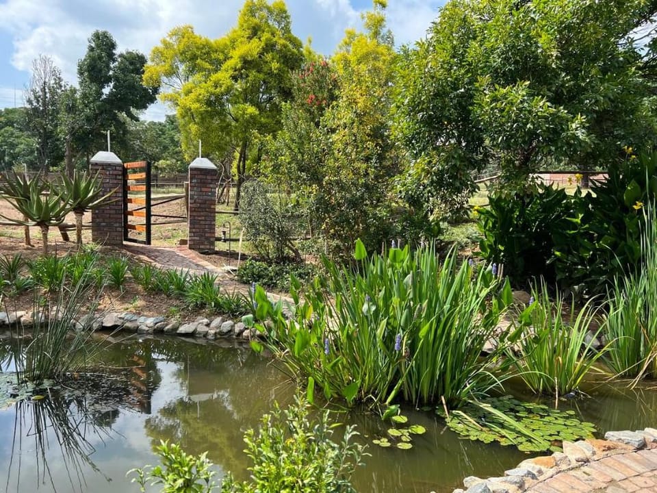 Standard Room Luxury Room in Luxury Bespoke Hotel Vacation rental in Sandton