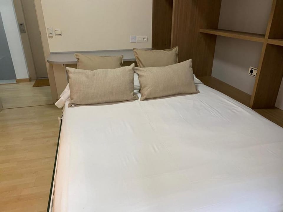 Old city center penthouse Apartment in Malaga
