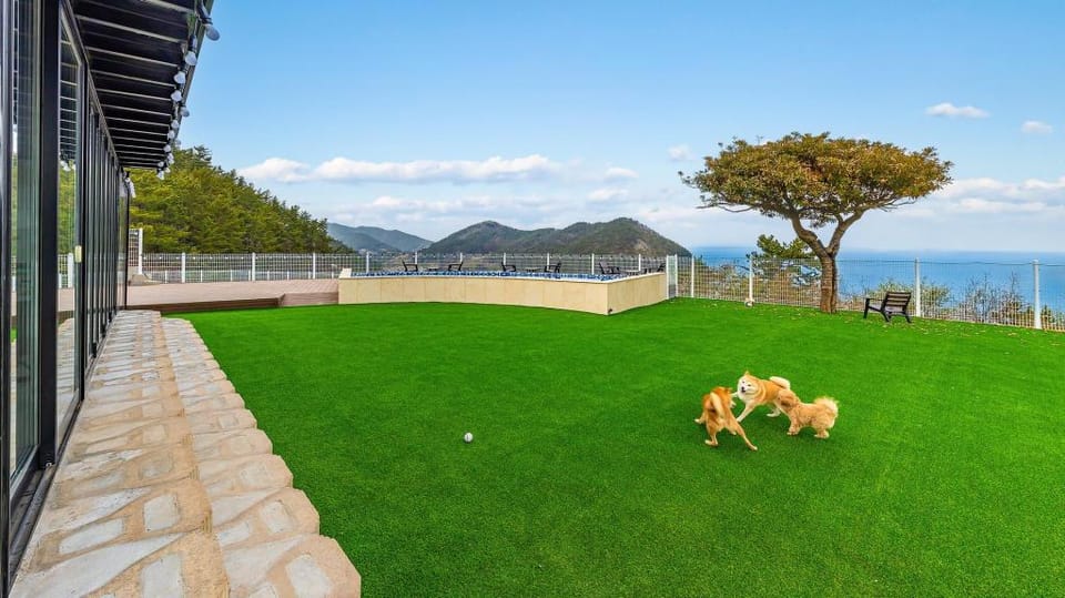 yeosu seuteimeong Bed and Breakfast in South Korea