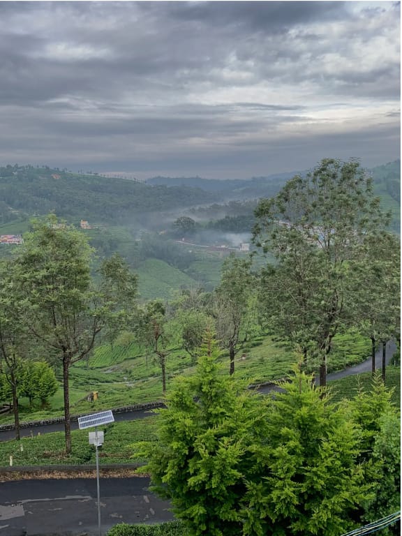 Infinitea Villa Hotel in Kerala