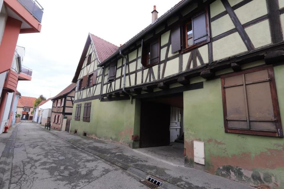 homday cultivateur 3 Apartment in Haguenau