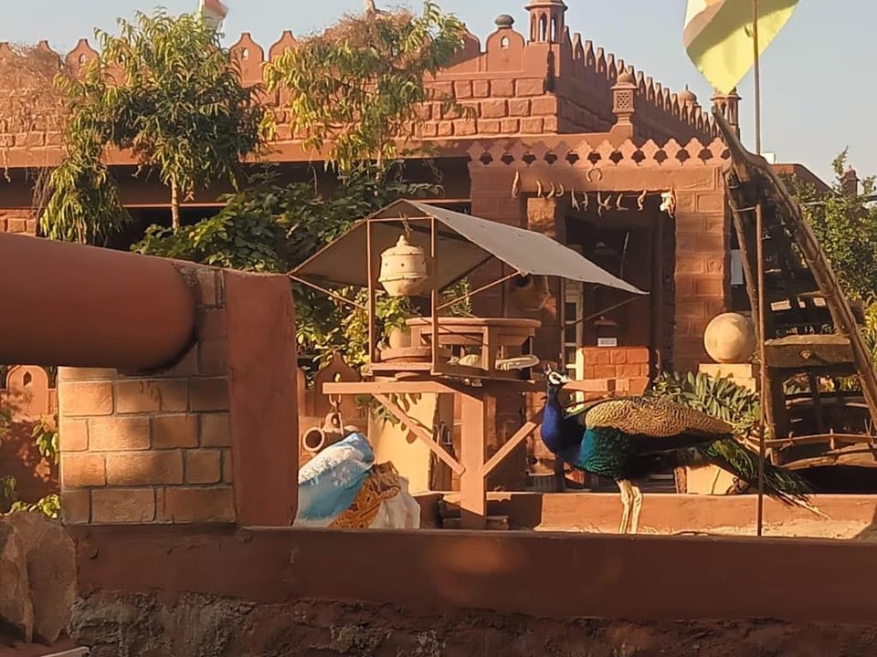 Jakhira Heritage Village Home Stay , Sajara Vacation rental in Rajasthan