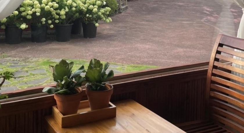 Jeju Songdangsongdang Pension and Resort Bed and Breakfast in South Korea