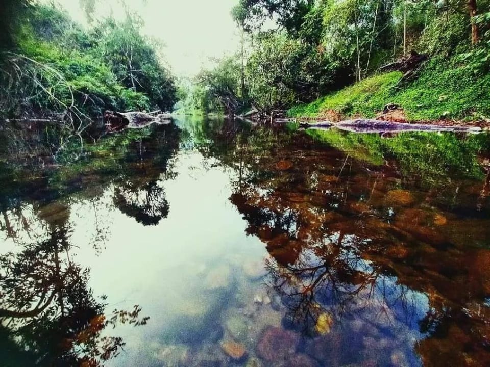 T S M garden homestay  Vacation rental in Kerala