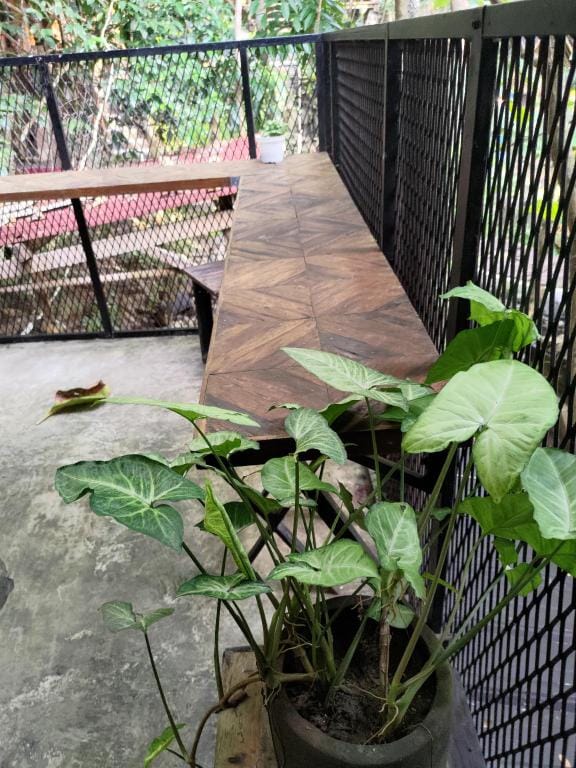 Sawang Alas Glamping Cabin in Awandaru Village  Vacation rental in Special Region of Yogyakarta