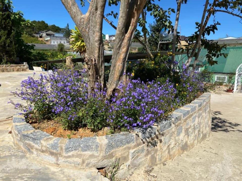 Villa Hannah-Uk ( price for the whole Villa ) Vacation rental in Dalat