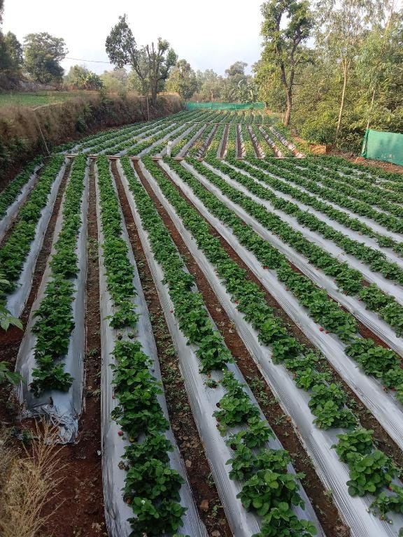 Nature's living agro tourism   Apartment in Maharashtra