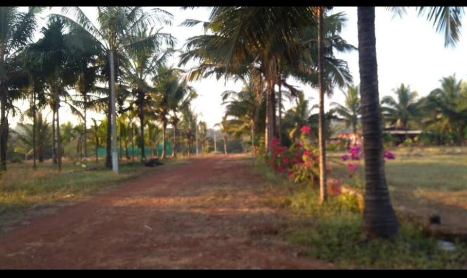 Guhagar's Pride Ekaant A Socially Distant HomeStay Vacation rental in Maharashtra