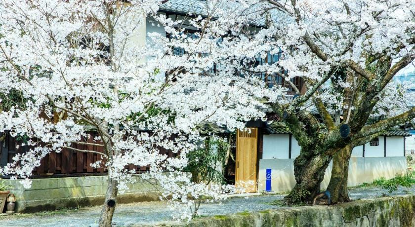Taos - A Private House Where You Can Feel the Climate of Tanba Vacation rental in Hyogo Prefecture
