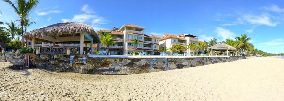 Amazing ocean front apartment ! Apartment in Cabarete
